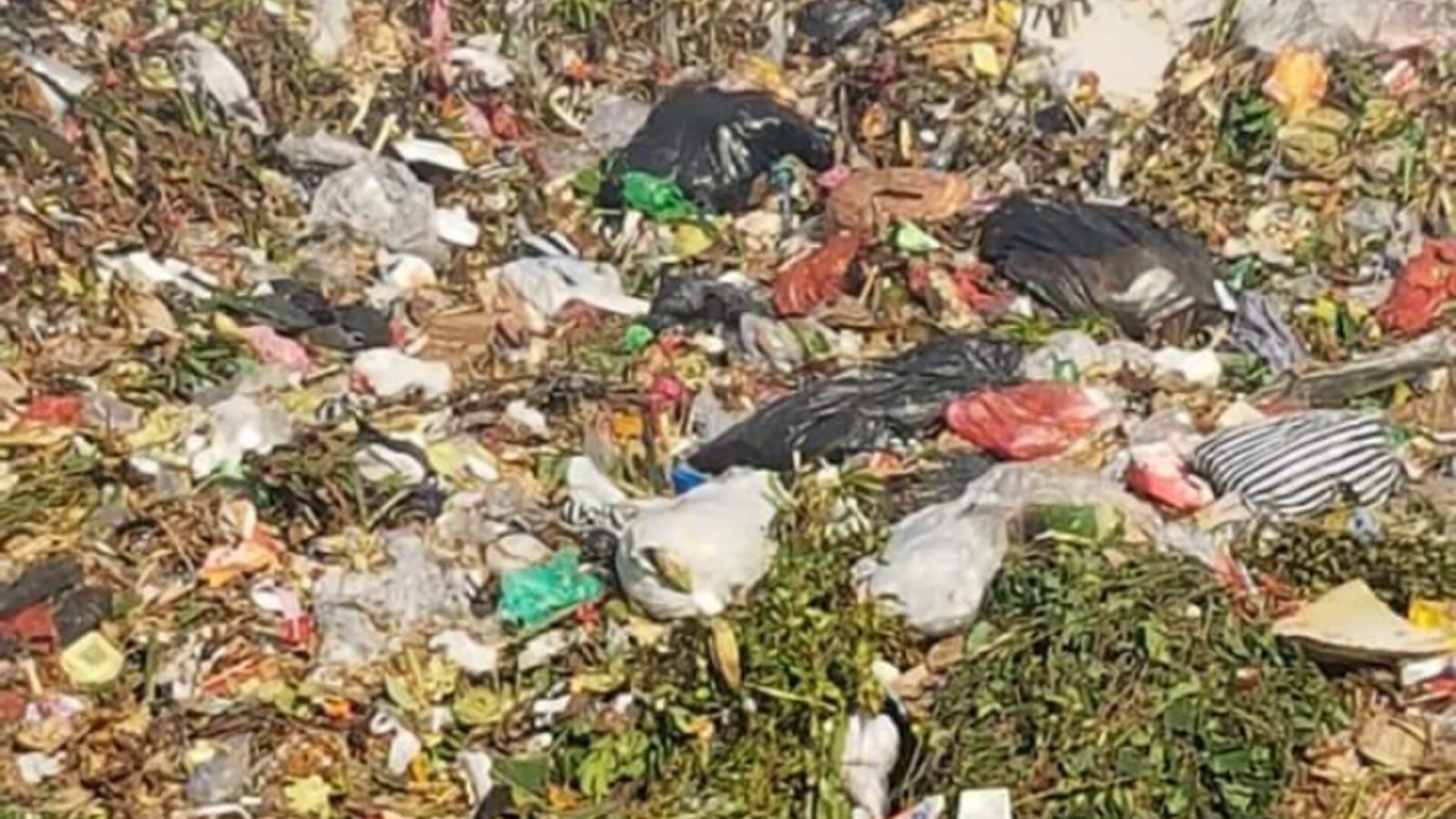 Ilustrasi. (Dok/Dewa Fathur)