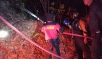 Foto: Petugas pemadam kebakaran sedang memadamkan api di hutan kawasan Gunung Pemuteran, Gerokgak, Kabupaten Buleleng, Selasa (11/7/23)