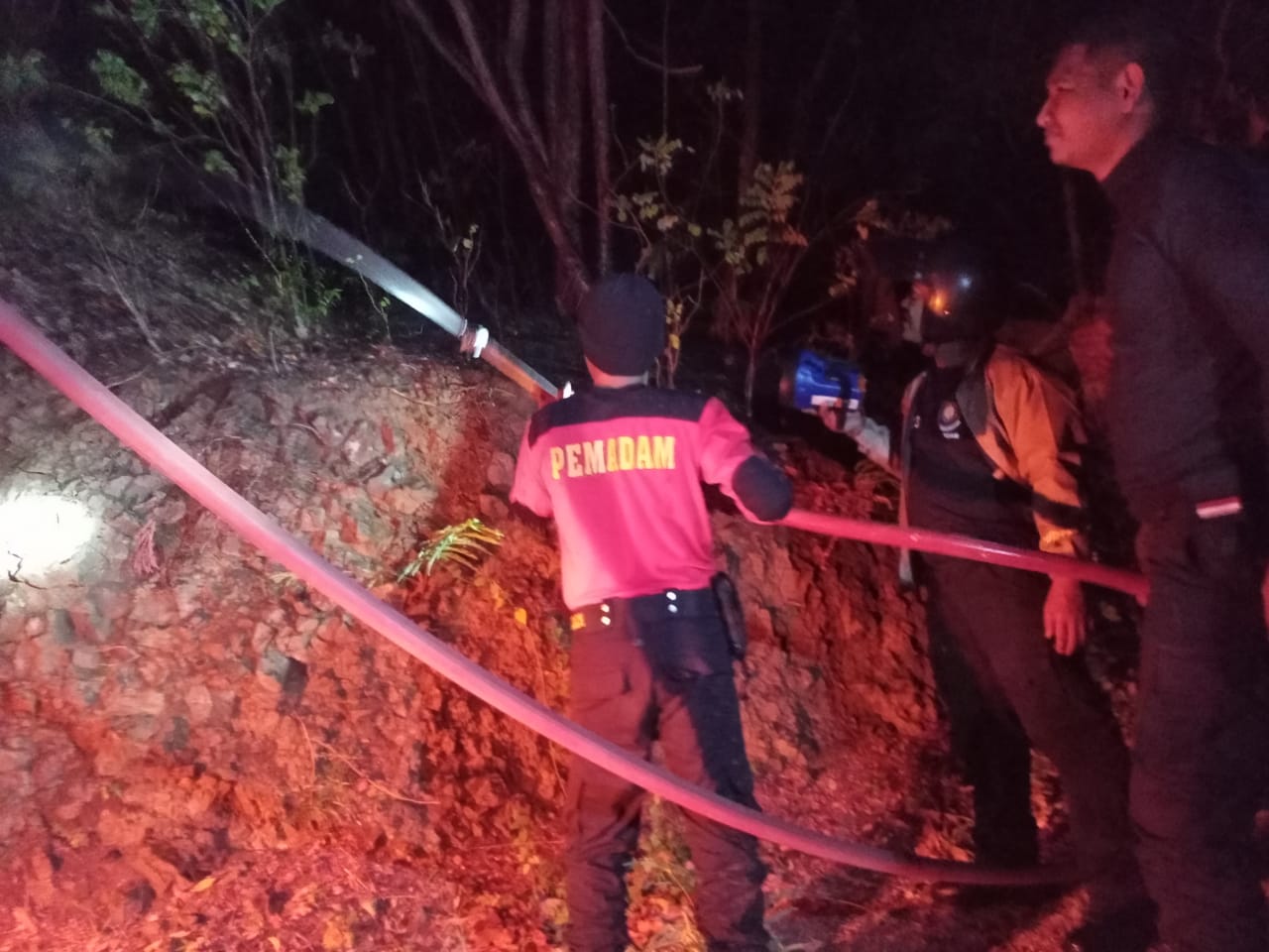 Foto: Petugas pemadam kebakaran sedang memadamkan api di hutan kawasan Gunung Pemuteran, Gerokgak, Kabupaten Buleleng, Selasa (11/7/23)