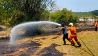 Saat tim Damkar Jembrana Berjibaku Memadamkan Api di lahan Gambut Desa Perancak, Kecamatan Jembrana, Jembrana. Selasa (26/9/23). Sumber Foto : Yus Wacana bali