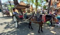 Foto: Pascapembongkaran Pasar Umum Negara (PUN) yang akan segera direvitalisasi, keberadaan kusir dokar tergusur dan pendapatan menurun. (Sumber: Yus/wacanabali)
