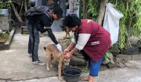 Ket Foto: Pihak Terkait melakukan vaksinasi di wilayah sekitar temuan anjing rabies yang menyerang warga beberapa hari lalu. (Sumber: Wacanabali.com/Yus)