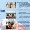 Foto: Capaian Program Adya Foundation di tahun 2021. Sumber: Adya Foundation/Wacanabali.com