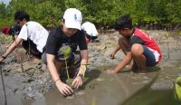 Foto: Situasi Kegiatan Peluncuran Program Adopt-A-Mangrove. Sumber: CTC.