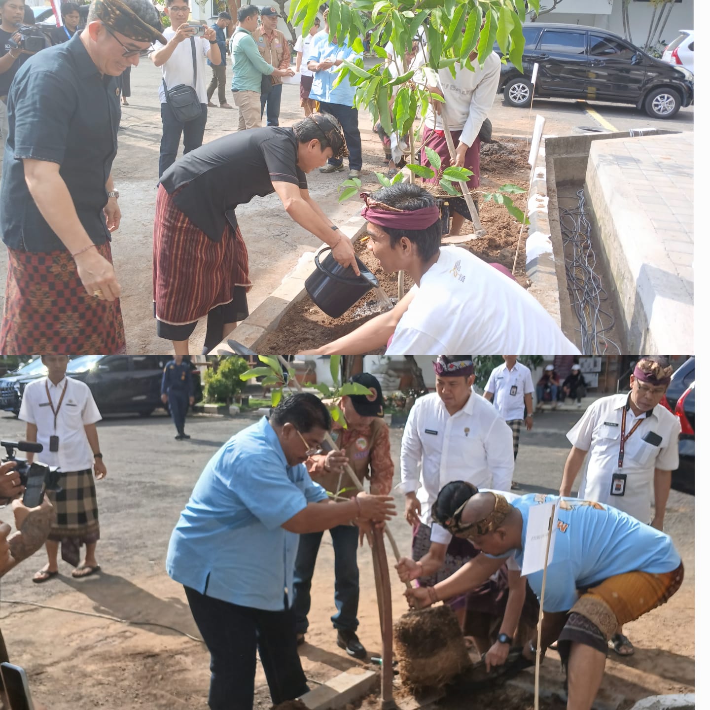 Foto: Ketua Tim Pemenangan Paslon 02 (Koster-Giri) dan Cawagub nomor urut 1, Putu Agus Suradnyana, menanam di KPU Bali. Sumber: Yulius N/wacanabali.com