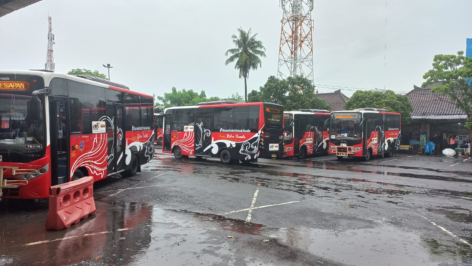 Foto: Trans Metro Dewata sebagai Salah Satu Transportasi Umum yang Beroperasi di Bali. Sumber: Komang Ari/Wacana Bali.