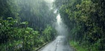 Foto: Ilustrasi Hujan Deras. Sumber: Freepik.