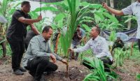 Wabup Bagus Alit Sucipta saat menghadiri Peresmian Ketahanan Pangan Nusakambangan dan Penanaman Pohon Kelapa Serentak di Kantor Perbekel Sobangan, Mengwi. Selasa (9/9)