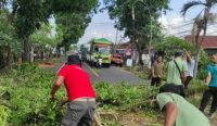 BPBD Jembrana dan instansi terkait melakukan pemangkasan dan penebangan pohon perindang di jalan Denpasar Gilimanuk, Selasa (21/10/25). sumber: wacanabali/dika