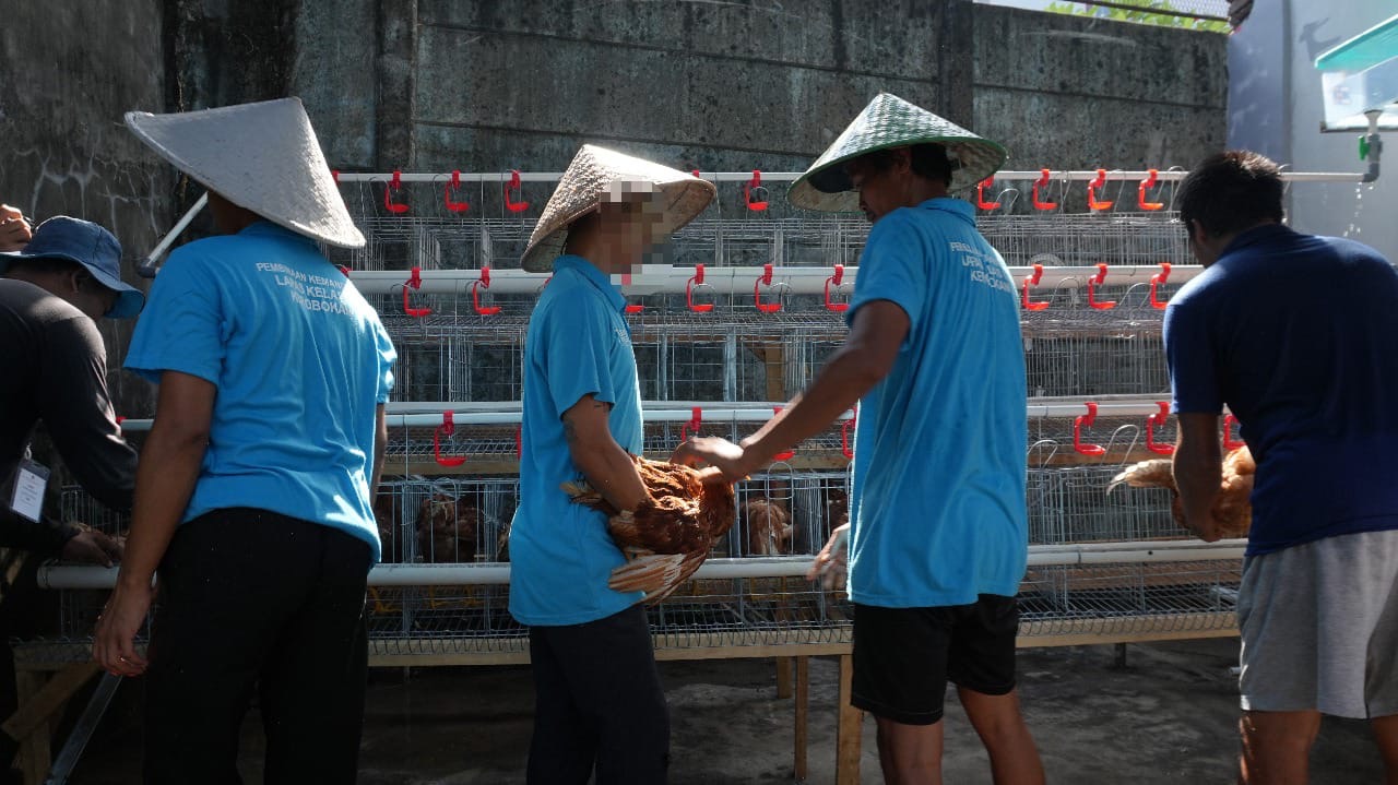 Foto: warga binaan Lapas Kerobokan sedang mengikuti pelatihan peternakan ayam petelur. Sumber: Ist.