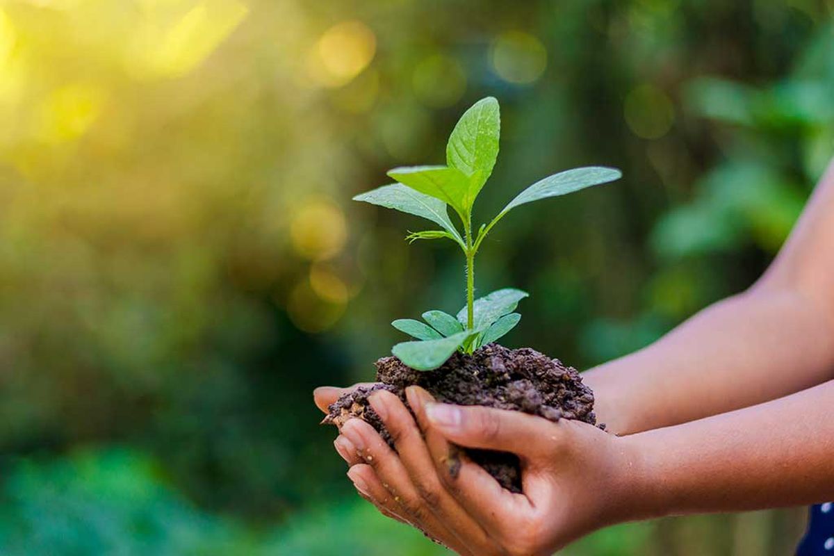 Ilustrasi perlindungan lingkungan hidup. Sumber: Freepik.