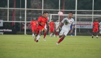 Foto: Laga Banteng Bali kontra Banteng Papua Tengah. Sumber: Ist.