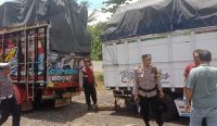 Petugas Polsek Pekutatan melakukan olah TKP dan pemeriksaan pada dua truk yang terlibat dalam insiden kecelakaan kerja di area parkir Rumah Makan Cak Unus, Desa Pengeragoan, Selasa (02/12/2025).