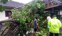 Polisi dan aparat desa gerak cepat.tanganj pohon tumbang yang menimpa garasi warga desa Gumbrih Pekutatan , Senin (08/12/25) sumberwacanabali/dika