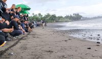 Ratusan tukik dilepas ke habitat alaminya di pesisir Pantai Saba, Gianyar, disaksikan penuh antusias oleh komunitas dan relawan.