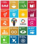 Gambar: Tujuan Pembangunan Berkelanjutan (TPB). Sumber: KPI (2018)