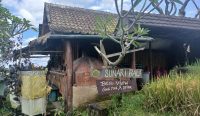 Foto: Kafe Sunari Bali yang berdiri di tengah-tengah sawah Jatiluwih. Dibangun di atas lahan sawah kering oleh warga sejak 2017. Sumber: Yulius N/wacanabali.com