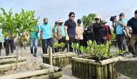 Foto: Wakil Gubernur Bali, I Nyoman Giri Prasta tanam mangrove bersama SMSI Bali di Arboretum Park, Tahura Ngurah Rai, Denpasar, Senin (9/3/2026). Sumber: Yulius N/wacanabali.com