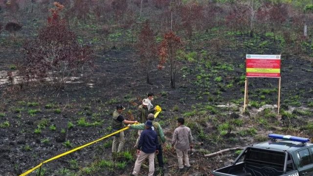 Foto: Ilustrasi penanganan kebakaran hutan dan lahan serta upaya pemulihan ekosistem hutan. Sumber: ist